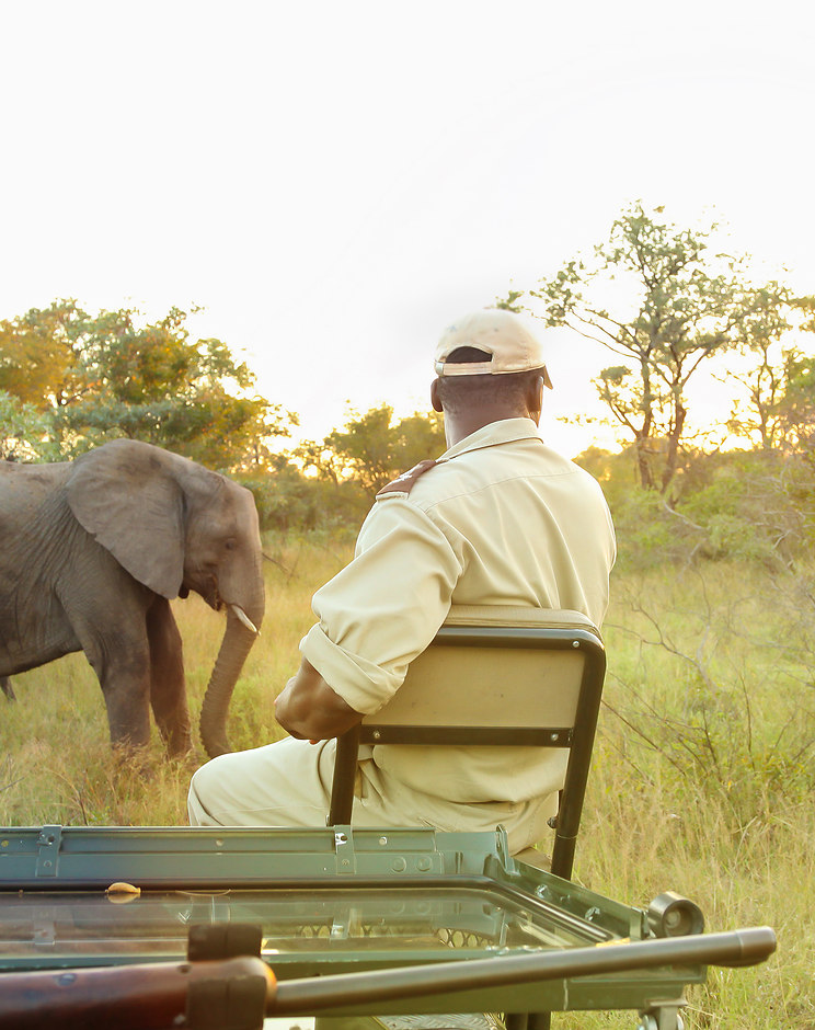 Wildlife safari experience