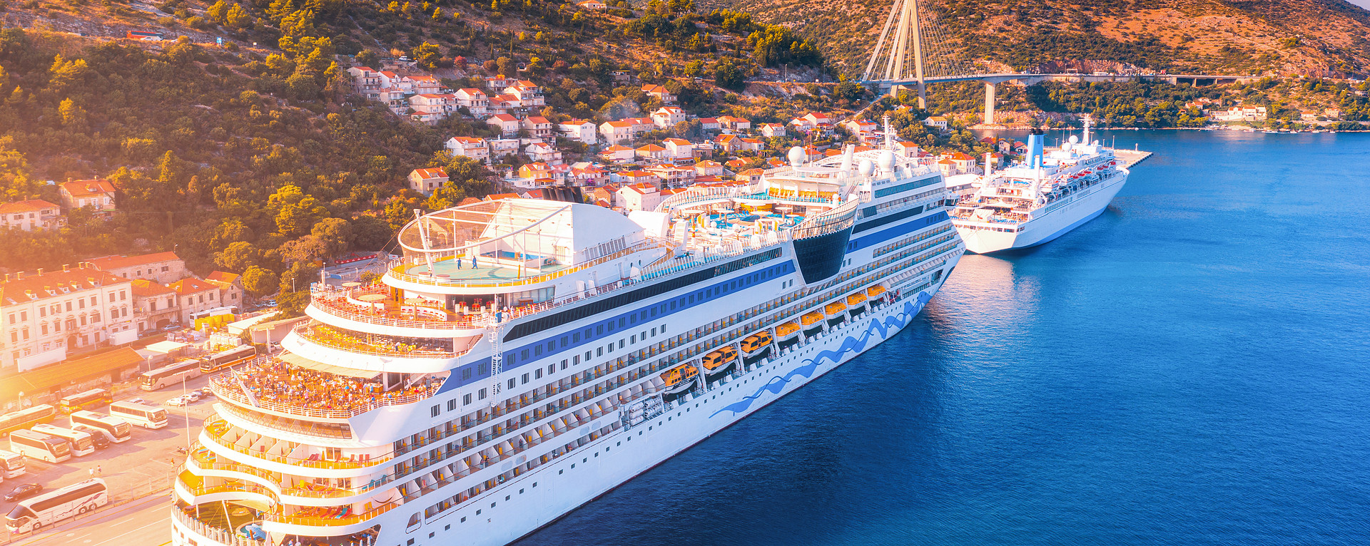 Cruise ships docked at a coastal city