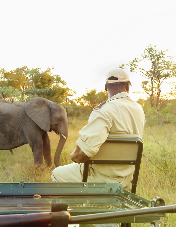 Hwange safari